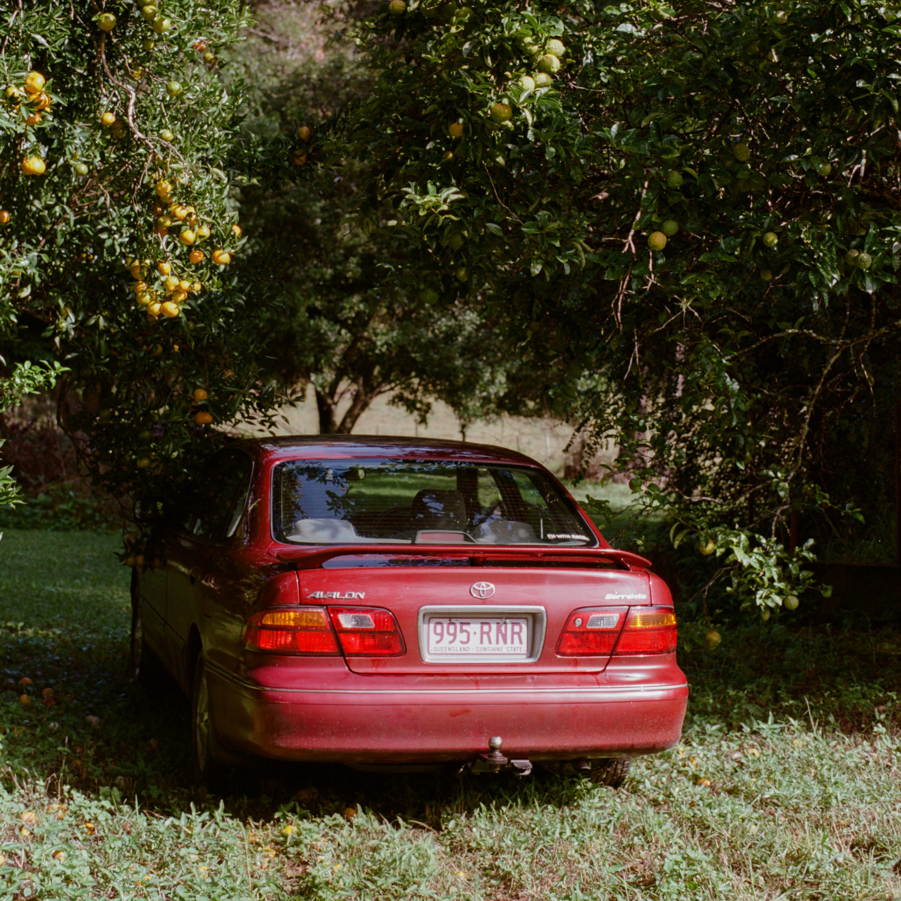 Avalon