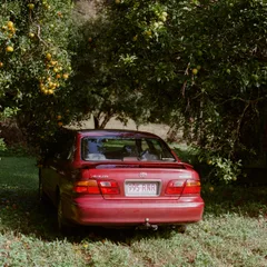 Avalon