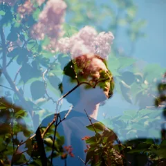 Bloom