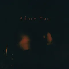 Adore You