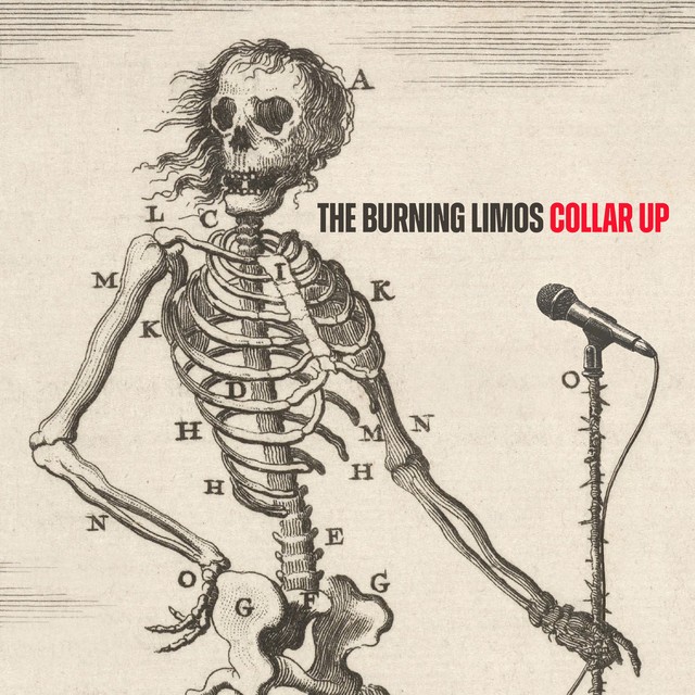 Collar Up